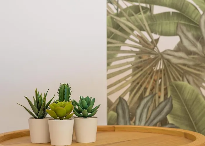 Lagoons - Lovely With Sport & Wellness